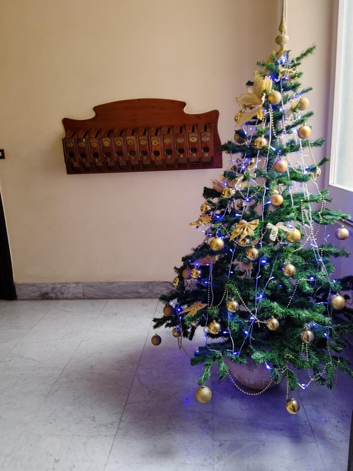 Studio Flat Trastevere Rome Exterior photo