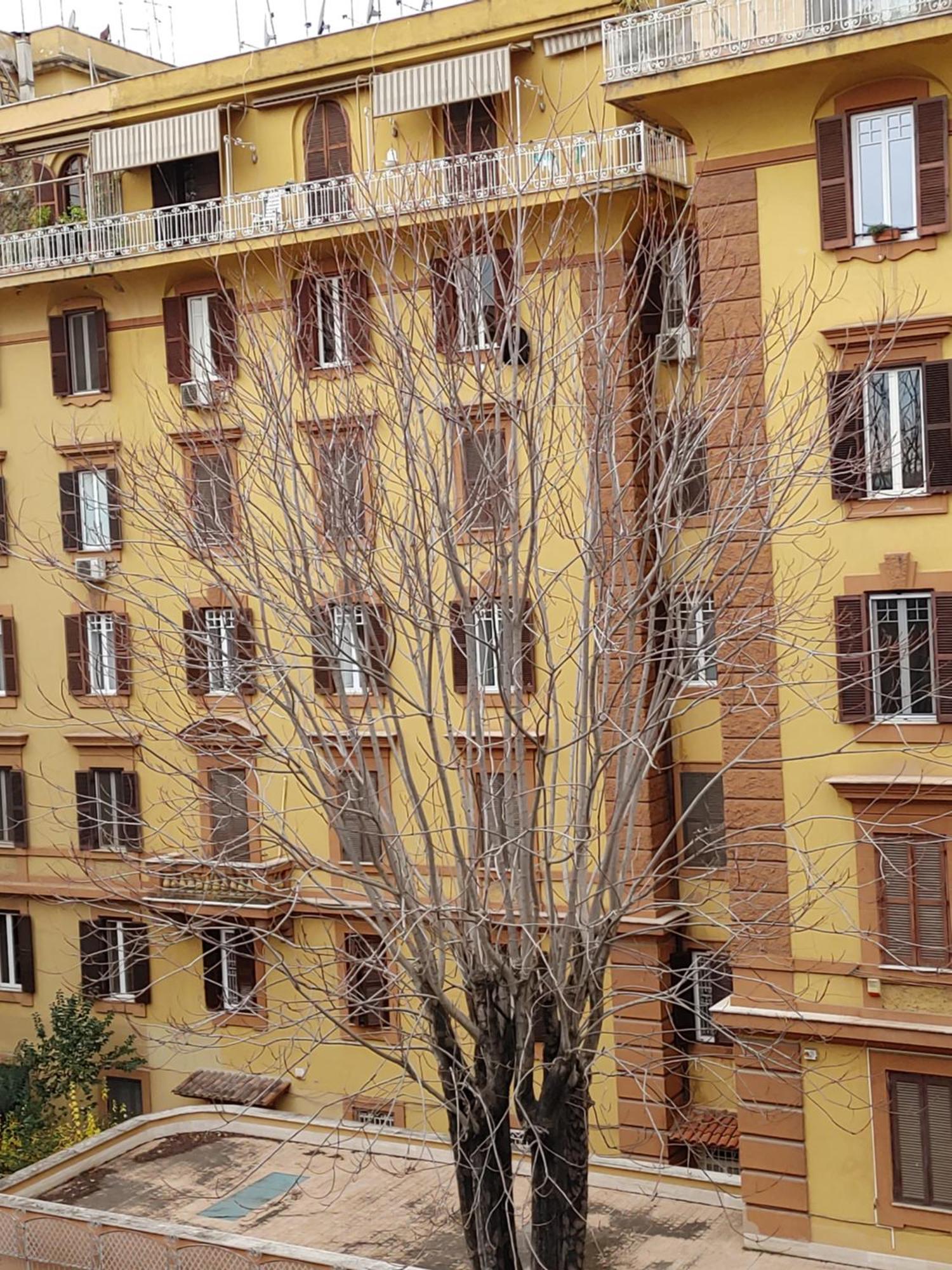 Studio Flat Trastevere Rome Exterior photo